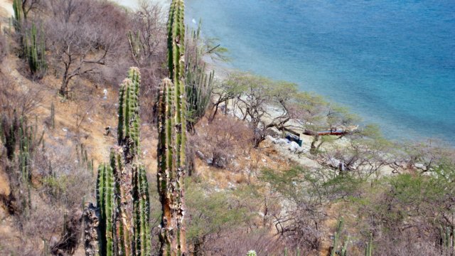 taganga035.jpg