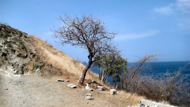 taganga038.jpg